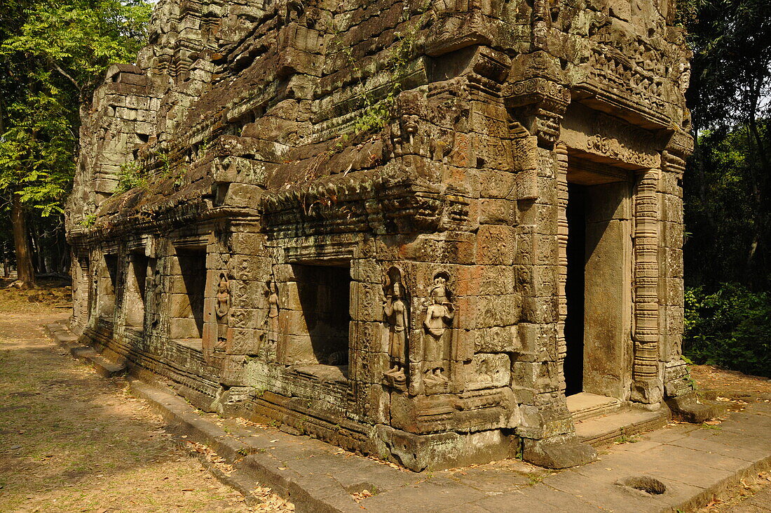 Ta Prohm Temple, Angkor, UNESCO World Heritage Site, Siem Reap, Cambodia, Indochina, Southeast Asia, Asia