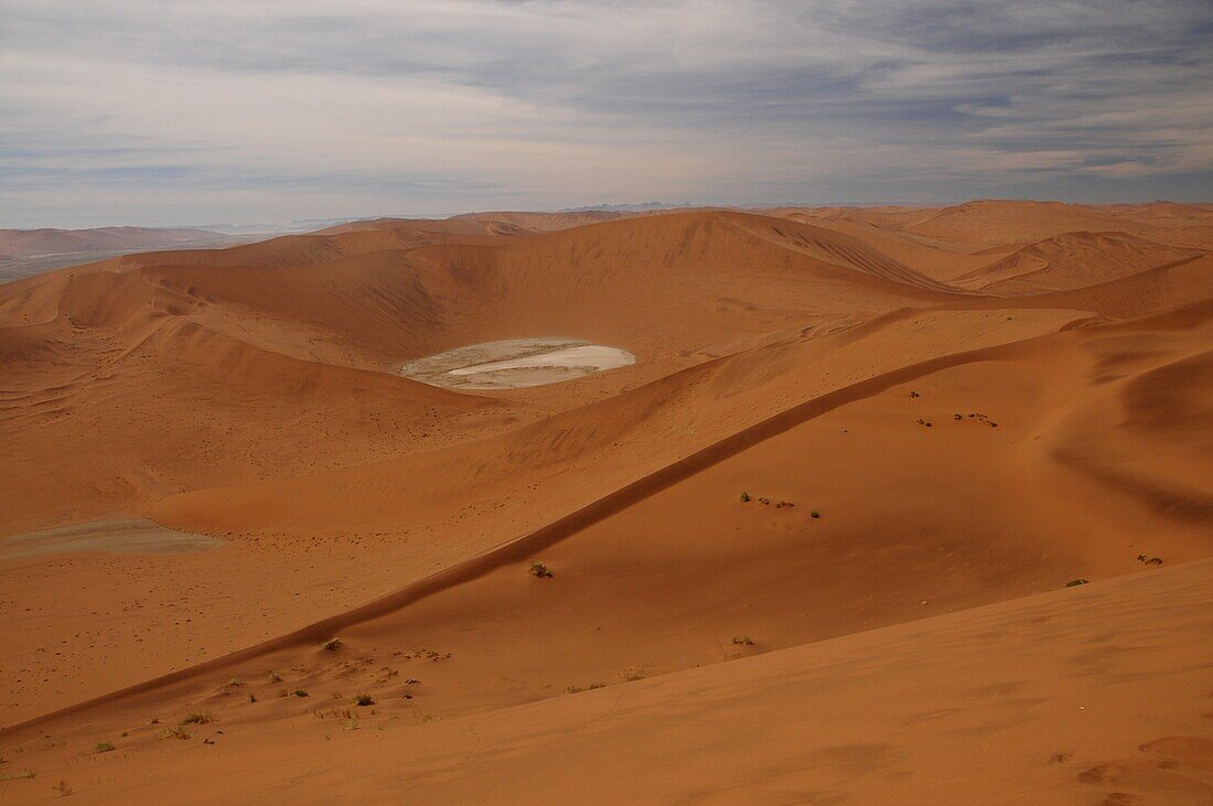 Dead Vlei, Sossusvlei, Namib Desert, Namibia, Africa