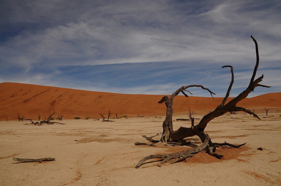 Dead Vlei, Sossusvlei, Namib Desert, Namibia, Africa