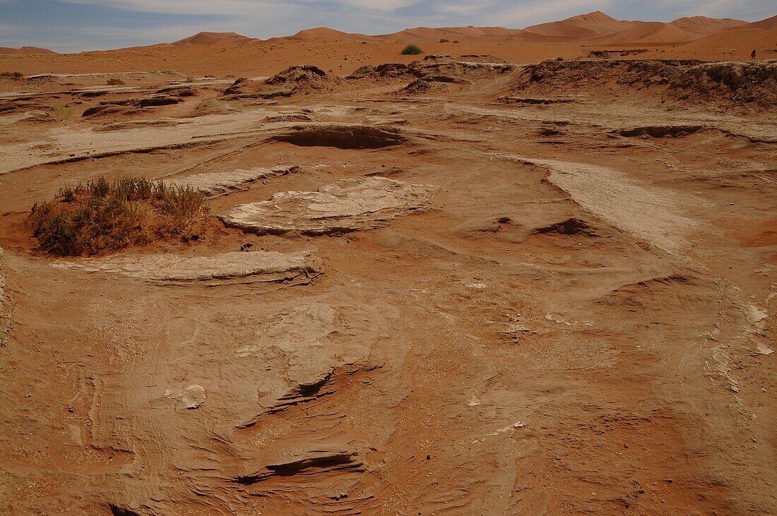 Totes Vlei, Sossusvlei, Namib-Wüste, Namibia, Afrika