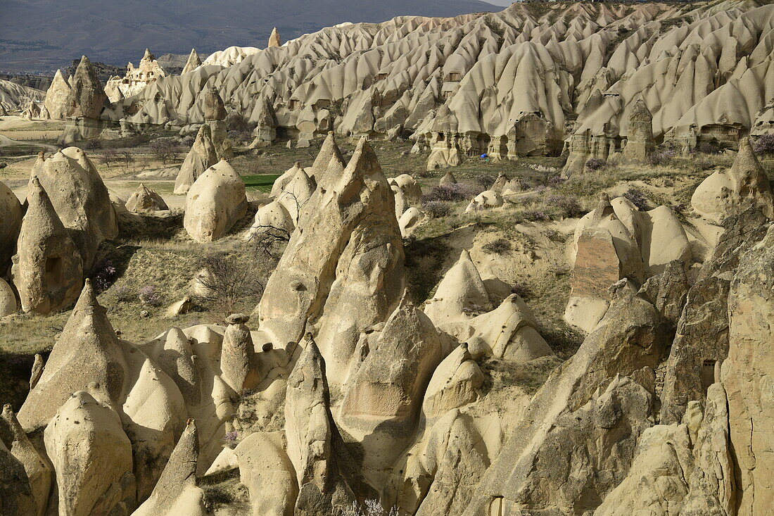 Felsformationen und Höhlenhäuser in Goreme, Kappadokien, Anatolien, Türkei, Kleinasien, Asien