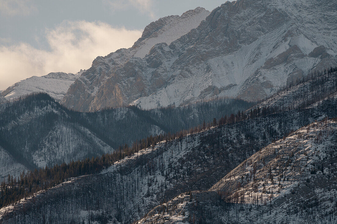 Schneebedeckte Berge und Abendlicht, Jasper-Nationalpark, UNESCO-Weltnaturerbe, Alberta, Kanadische Rockies, Kanada, Nordamerika