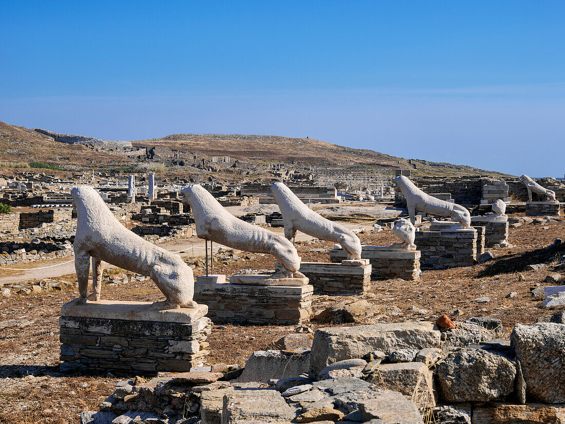 The Terrace of the Lions, Delos Archaeological Site, UNESCO World Heritage Site, Delos Island, Cyclades, Greek Islands, Greece, Europe