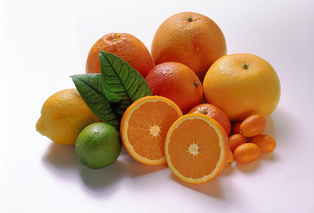 Assorted Citrus Fruit: Lemon, Lime, Orange, Tangerine, Grapefruit and Kumquat
