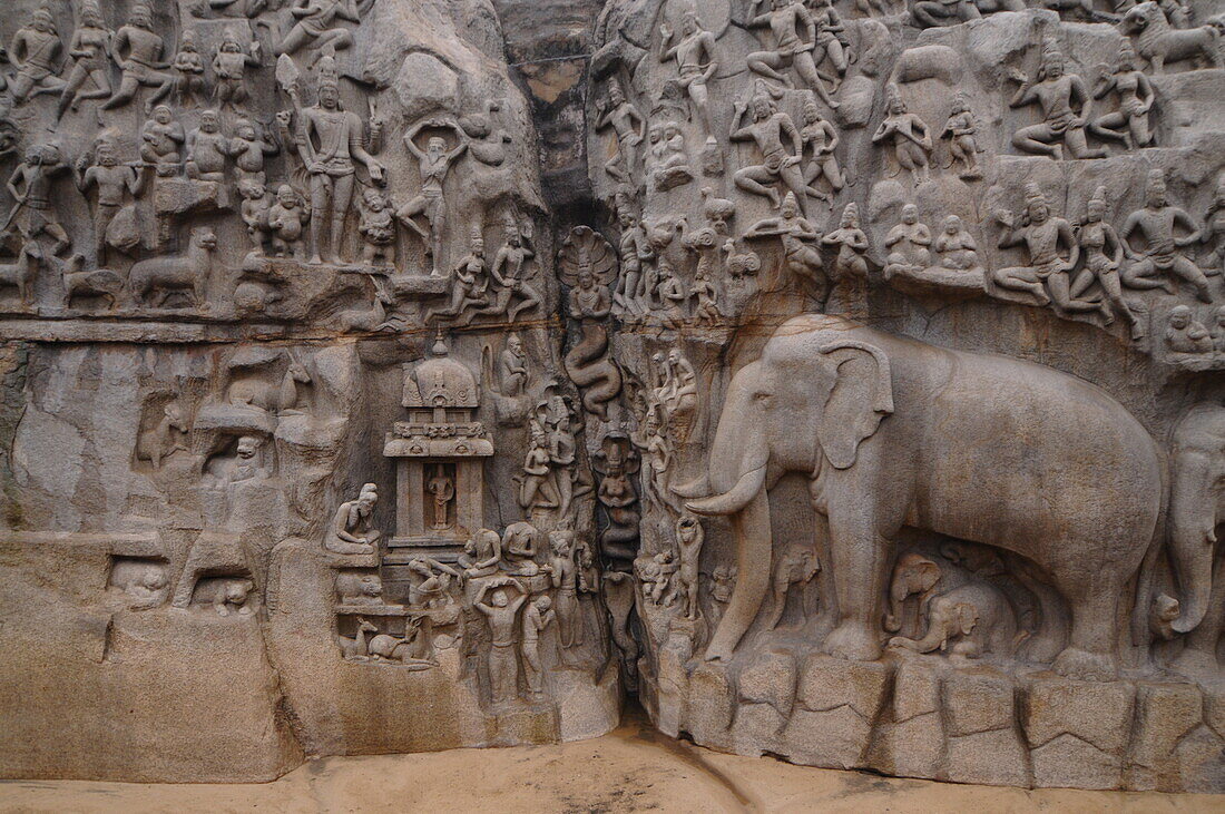 Bas relief of Descent of the Ganga River, Mahabalipuram, UNESCO World Heritage Site, Tamil Nadu, India, Asia