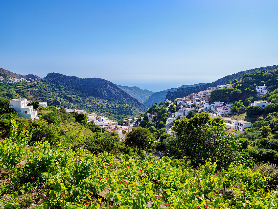 Weinberg und Dorf Koronos, Blick von oben, Insel Naxos, Kykladen, Griechische Inseln, Griechenland, Europa