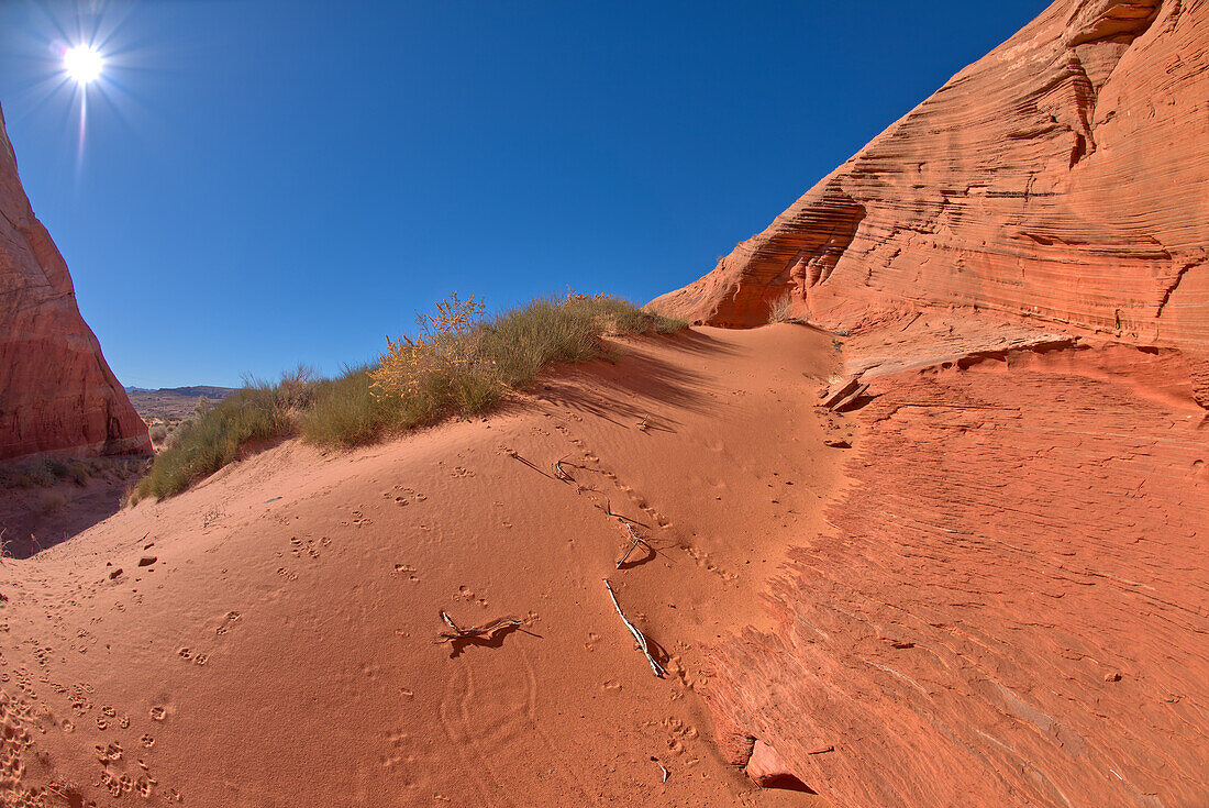 A red sand dune below a sandstone mesa, at Ferry Swale in the Glen Canyon Recreation Area near Page, Arizona, United States of America, North America