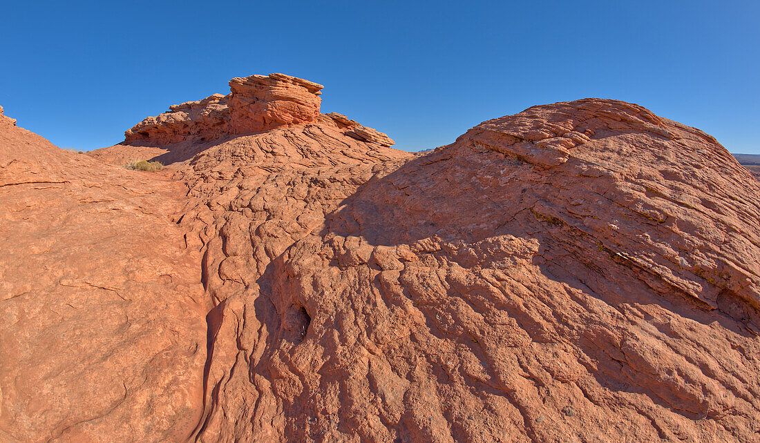 Ein gewellter Sandsteinhügel, eine versteinerte Sanddüne, bei Ferry Swale in der Glen Canyon Recreation Area bei Page, Arizona, Vereinigte Staaten von Amerika, Nordamerika