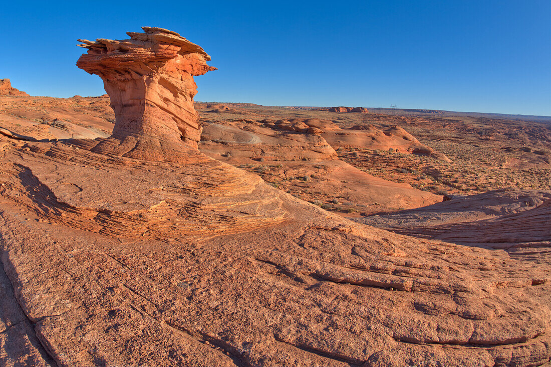 Ein Sandstein-Hoodoo bei Ferry Swale in der Glen Canyon Recreation Area bei Page, Arizona, Vereinigte Staaten von Amerika, Nordamerika