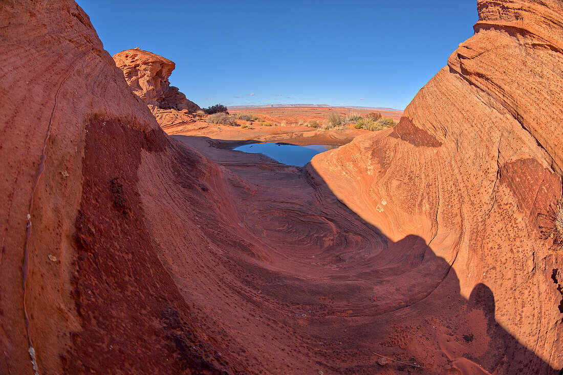 Eine gewellte Sandsteinformation mit einer Wasserpfütze nördlich des Horseshoe Bend Overlook entlang des Colorado River in Page, Arizona, Vereinigte Staaten von Amerika, Nordamerika