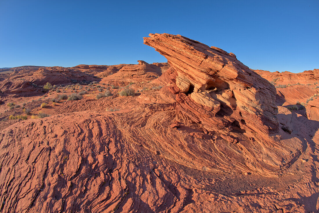 Ein Hoodoo auf einem Sandsteinkamm in der Nähe des Spur Canyon bei Horseshoe Bend, Arizona, Vereinigte Staaten von Amerika, Nordamerika