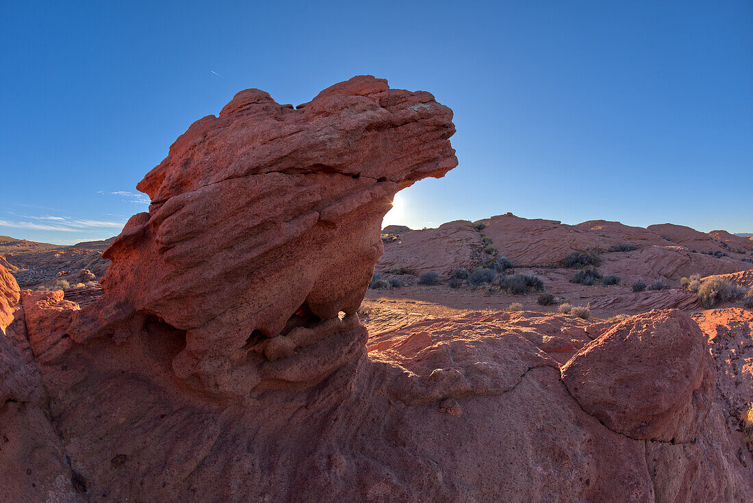 A hoodoo shaped like a vulture's head, at Horseshoe Bend in the Glen Canyon Recreation Area, near Page, Arizona, United States of America, North America