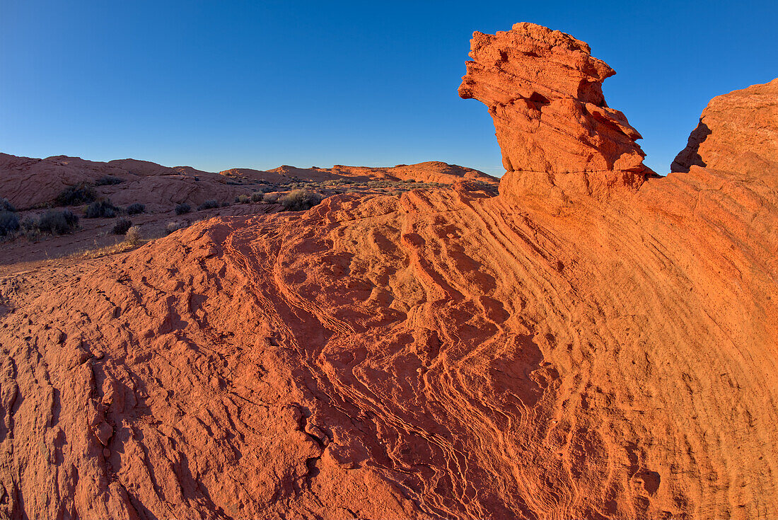 A hoodoo shaped like a vulture's head, at Horseshoe Bend in the Glen Canyon Recreation Area, near Page, Arizona, United States of America, North America