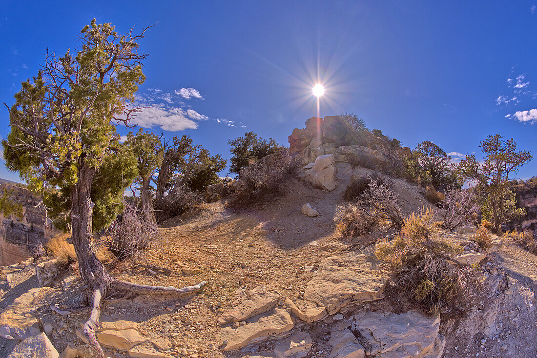 View from below the cliffs of Powell Point, Grand Canyon, UNESCO World Heritage Site, Arizona, United States of America, North America