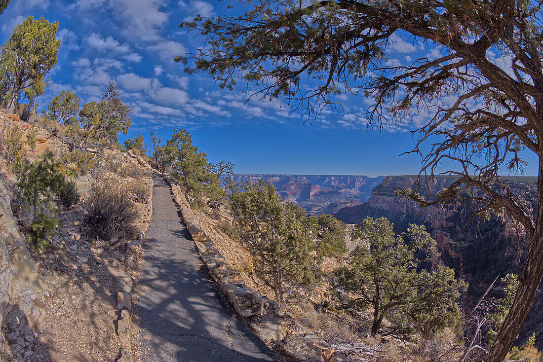 Der gepflasterte Rim Trail entlang der Klippen des Grand Canyon South Rim zwischen dem Dorf und dem Trailview Overlook Vista, Grand Canyon, UNESCO-Weltnaturerbe, Arizona, Vereinigte Staaten von Amerika, Nordamerika