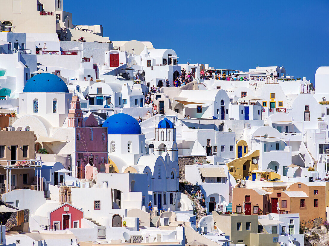 Blick auf die blauen Kuppelkirchen der Auferstehung des Herrn und des Heiligen Spyridon, Dorf Oia, Insel Santorin (Thira), Kykladen, Griechische Inseln, Griechenland, Europa