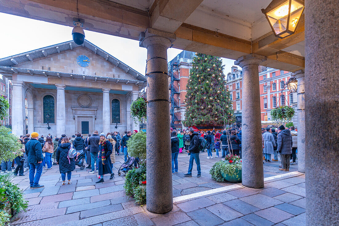 Blick auf die St. Paul's Church vom Apple Market zu Weihnachten, Covent Garden, London, England, Vereinigtes Königreich, Europa