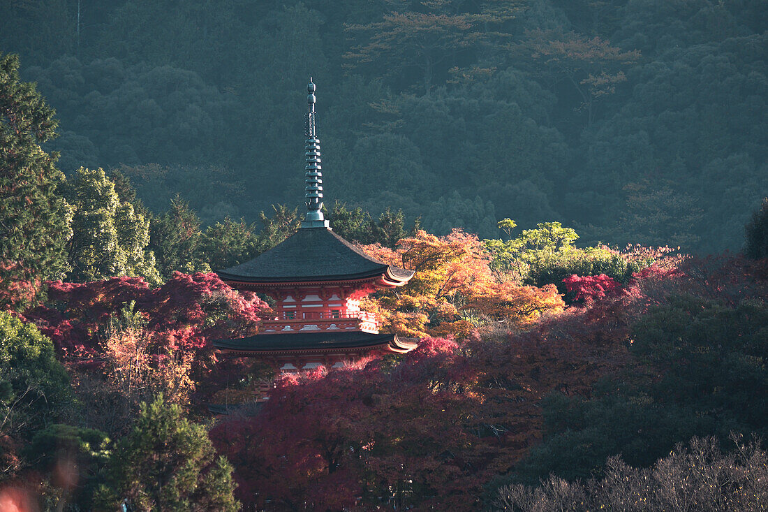 Kiyomizu-dera Koyasunoto-Pagode umrahmt von herbstlich gefärbten Bäumen, UNESCO-Weltkulturerbe, Kyoto, Honshu, Japan, Asien