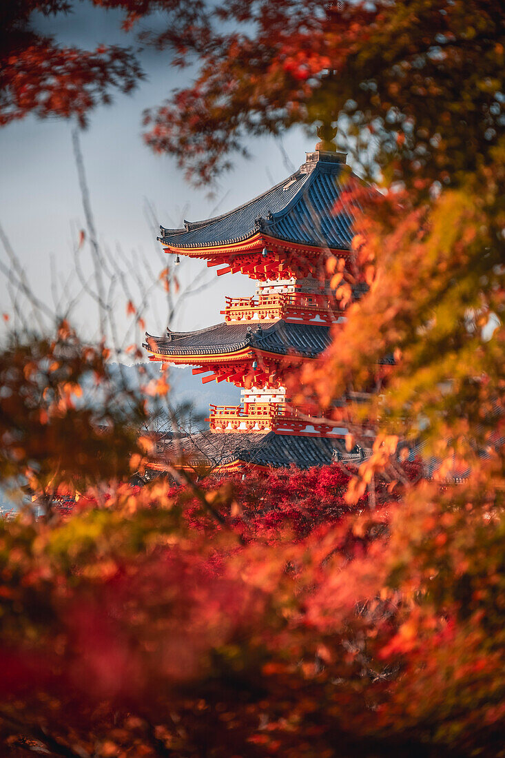 Kiyomizu-dera buddhistischer Tempel und Sanjunoto dreistöckige Pagode mit Herbstfarben, Kyoto, UNESCO Weltkulturerbe, Honshu, Japan, Asien