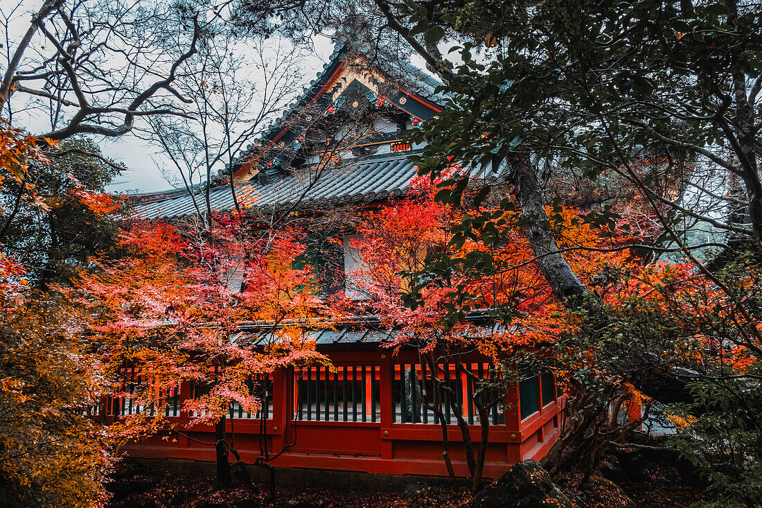 Buddhistischer Tempel Bishamon-do mit Herbstfarben, Kyoto, Honshu, Japan, Asien