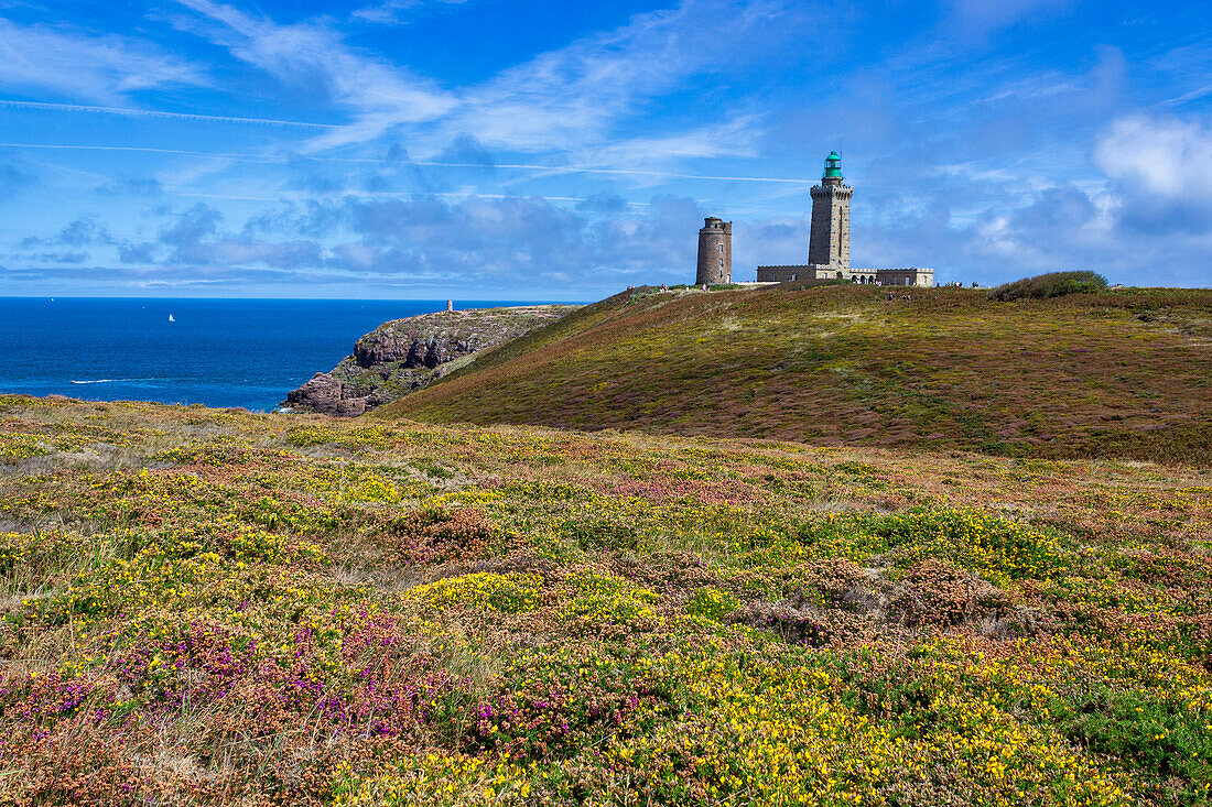 Cap Frehel, Plevenon, Cotes-d'Armor, Brittany, France, Europe