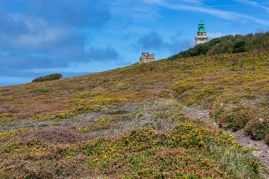 Cap Frehel, Plevenon, Cotes-d'Armor, Brittany, France, Europe