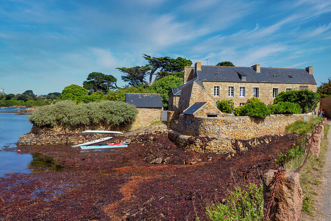 Cottage, Ile-de-Brehat, Cotes-d'Armor, Brittany, France, Europe