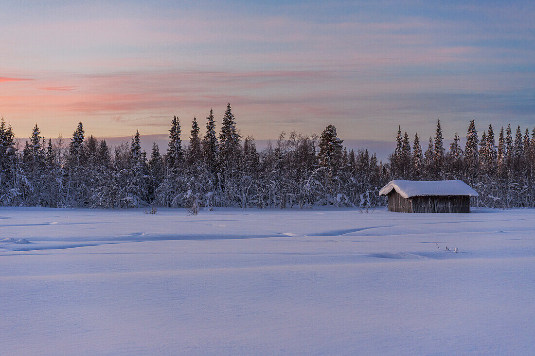 Isolated wooden cottage covered with thick snow in the Arctic environment at dusk in winter, Tjautjas, Gallivare municipality, Norrbotten county, Swedish Lapland, Sweden, Scandinavia, Europe