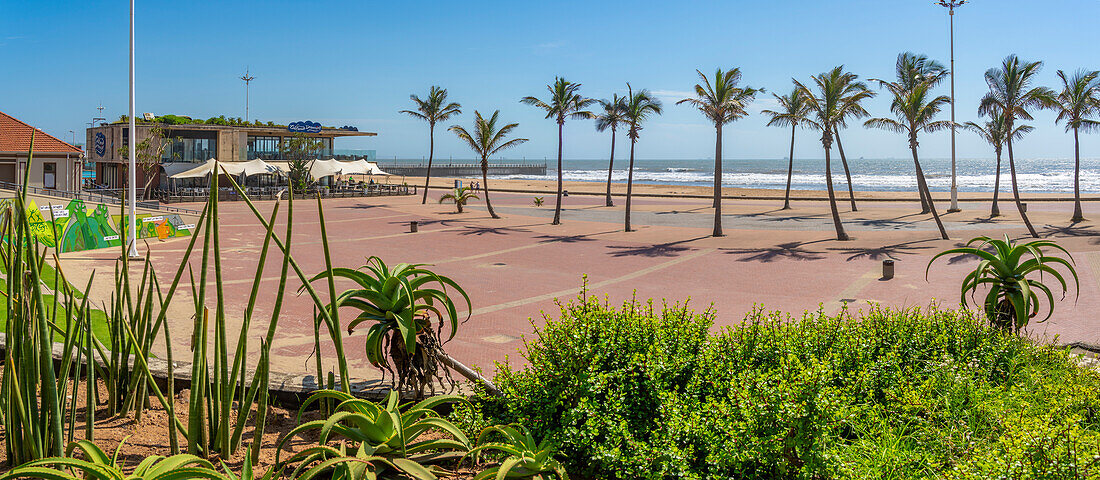 Blick auf Palmen, Promenade und den Indischen Ozean im Hintergrund, Durban, Provinz KwaZulu-Natal, Südafrika, Afrika