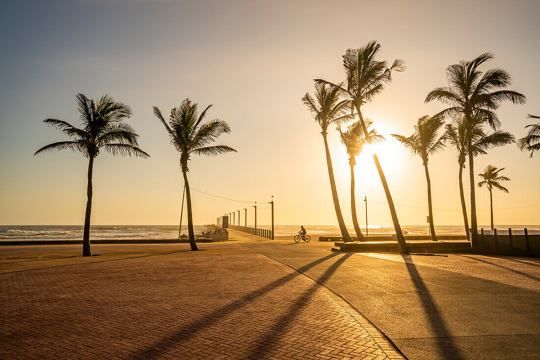 View of palm trees, promenade and Indian Ocean in background at sunrise, Durban, KwaZulu-Natal Province, South Africa, Africa