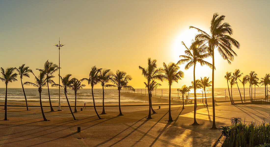 View of palm trees, promenade and Indian Ocean in background at sunrise, Durban, KwaZulu-Natal Province, South Africa, Africa