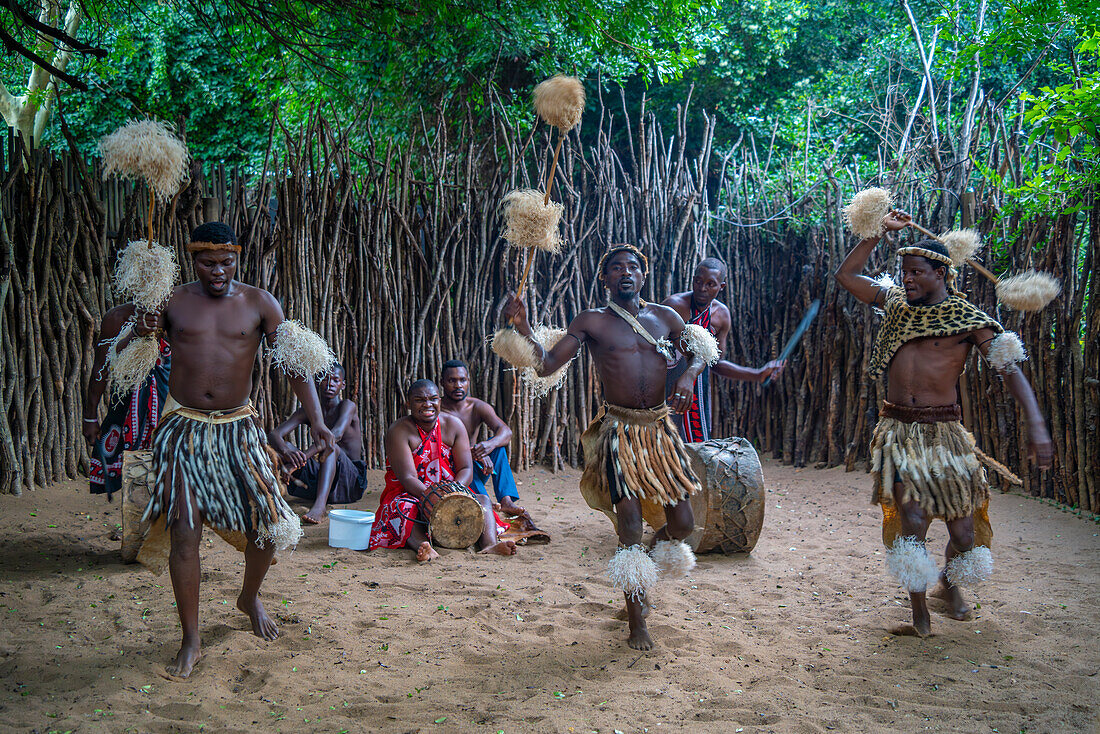 Blick auf traditionellen Zulu-Tanz und Musik im Ghost Mountain Inn, Mkuze, Provinz KwaZulu-Natal, Südafrika, Afrika