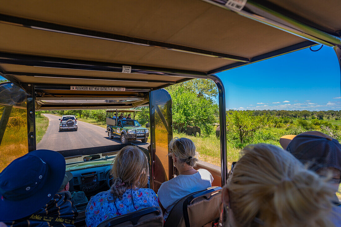 Blick auf Elefanten und Menschen in Safarifahrzeugen im Krüger-Nationalpark, Südafrika, Afrika