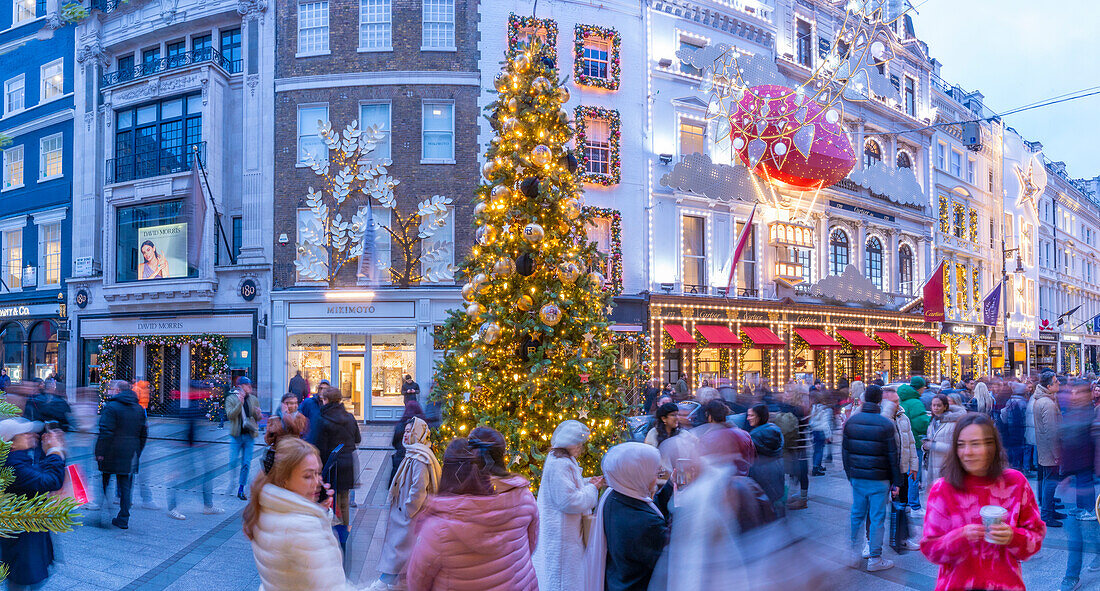 Blick auf den Weihnachtsbaum und die Geschäfte in der New Bond Street zu Weihnachten, Westminster, London, England, Vereinigtes Königreich, Europa