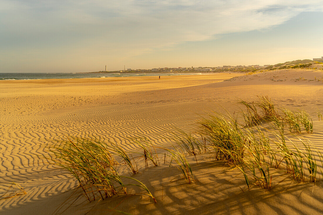 Blick auf Sanddünen und Strand mit Seal Point Leuchtturm im Hintergrund, Cape St. Francis, Ostkap-Provinz, Südafrika, Afrika