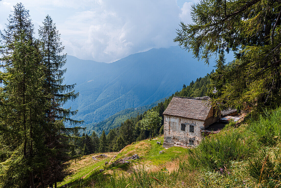 Ländliches Alpenleben mit einer Hütte über einem weiten Bergtal, Italienische Alpen, Italien, Europa