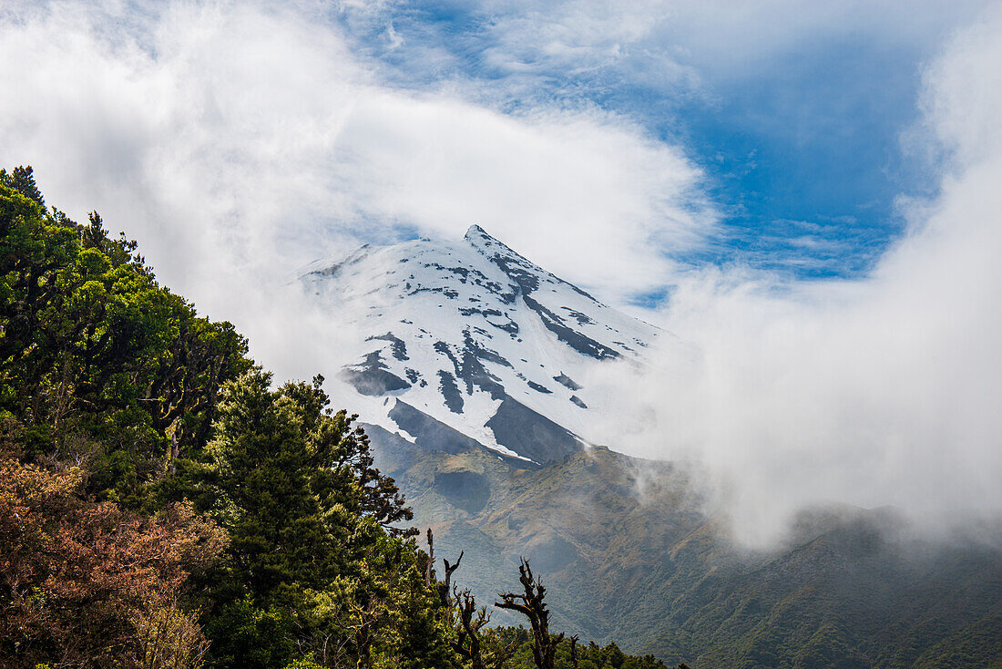 Snowy summit of the volcano, Mount Taranaki, North Island, New Zealand, Pacific