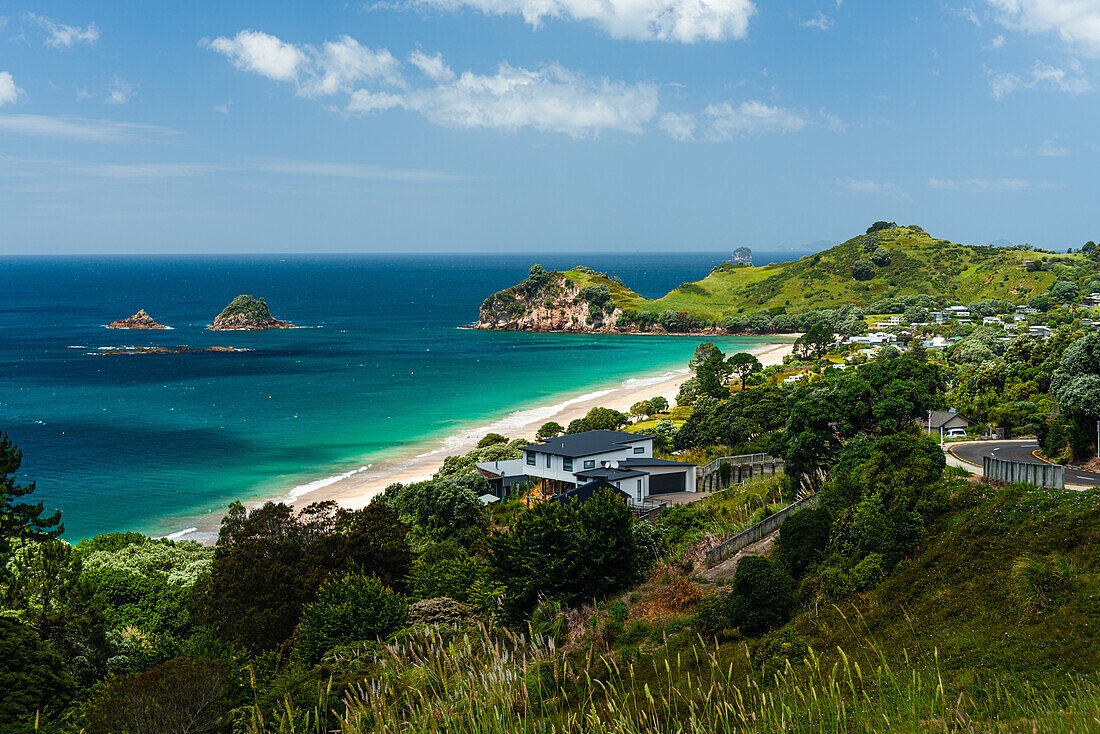 Beautiful tropical bay, with vibrant colors of the sea and green hills, Hahei, Coromandel Peninsula, North Island, New Zealand, Pacific