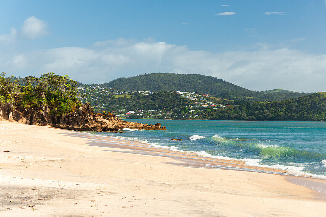 Pristine white beach and turquoise waters at Cooks Beach near Whitianga, Coromandel Peninsula, North Island, New Zealand, Pacific