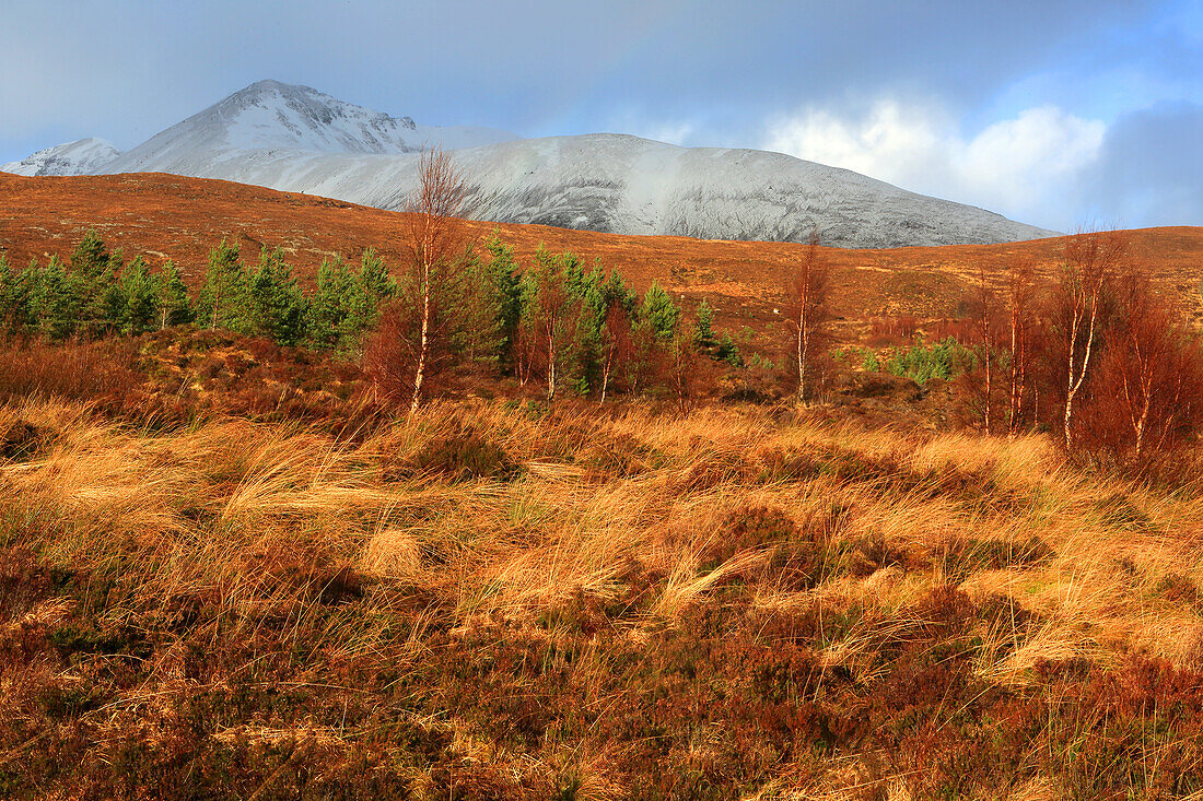 Ben Eighe, Torridon, Nordwestliche Highlands, Schottland, Vereinigtes Königreich, Europa