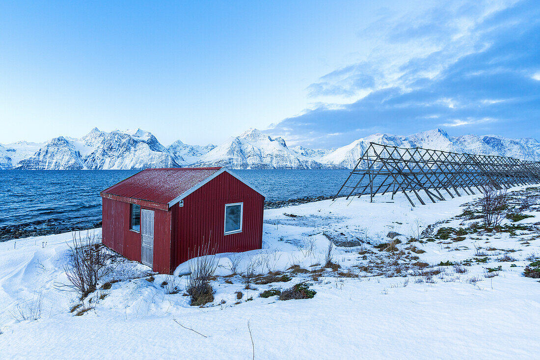 Lone red typical rorbu in the snowy arctic landscape by the fjord at dawn, Djupvik, Olderdalen, Lyngen fjord, Lyngen Alps, Troms og Finnmark, Norway, Scandinavia, Europe