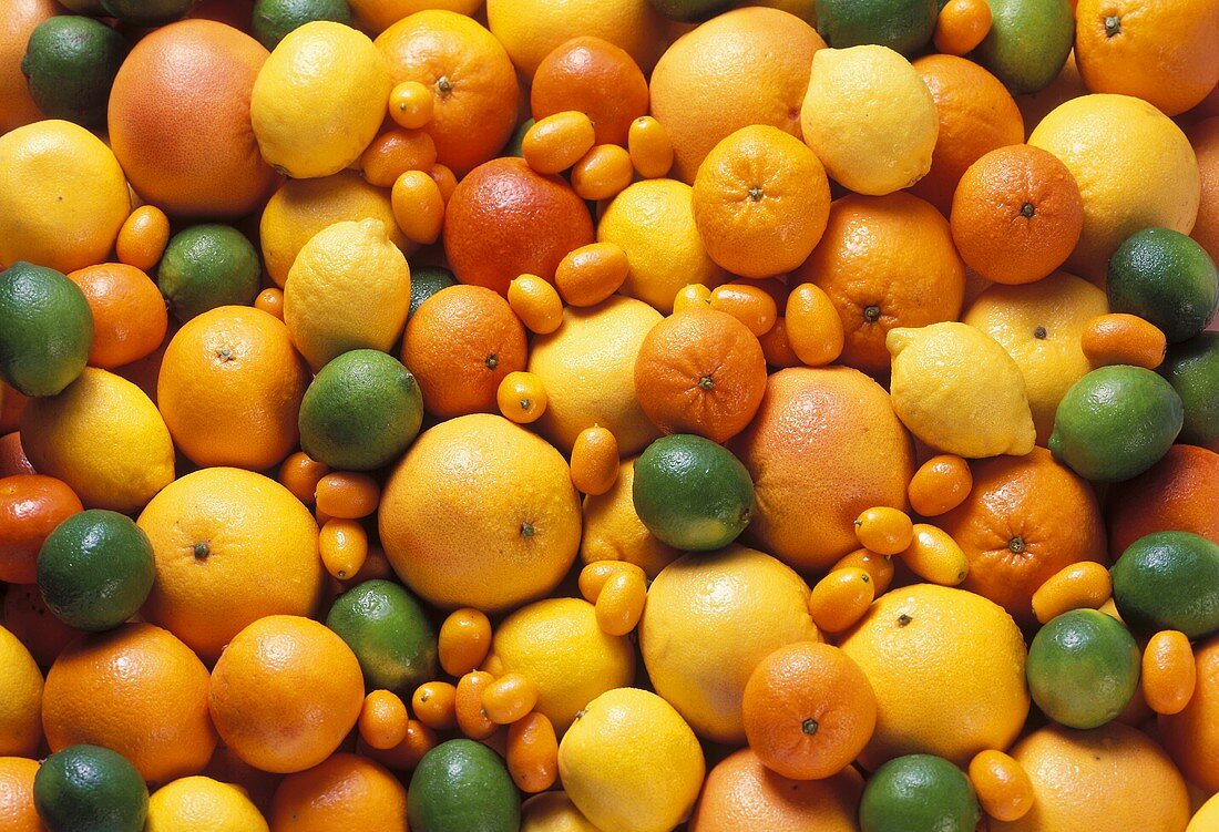 Citrus Fruit Still Life