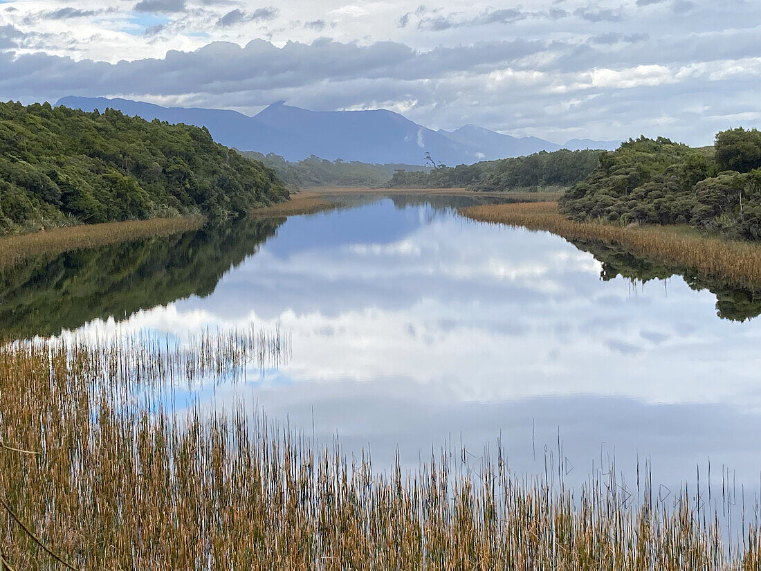 Dünensee bei Haast, Westküste, Südinsel, Neuseeland, Pazifik