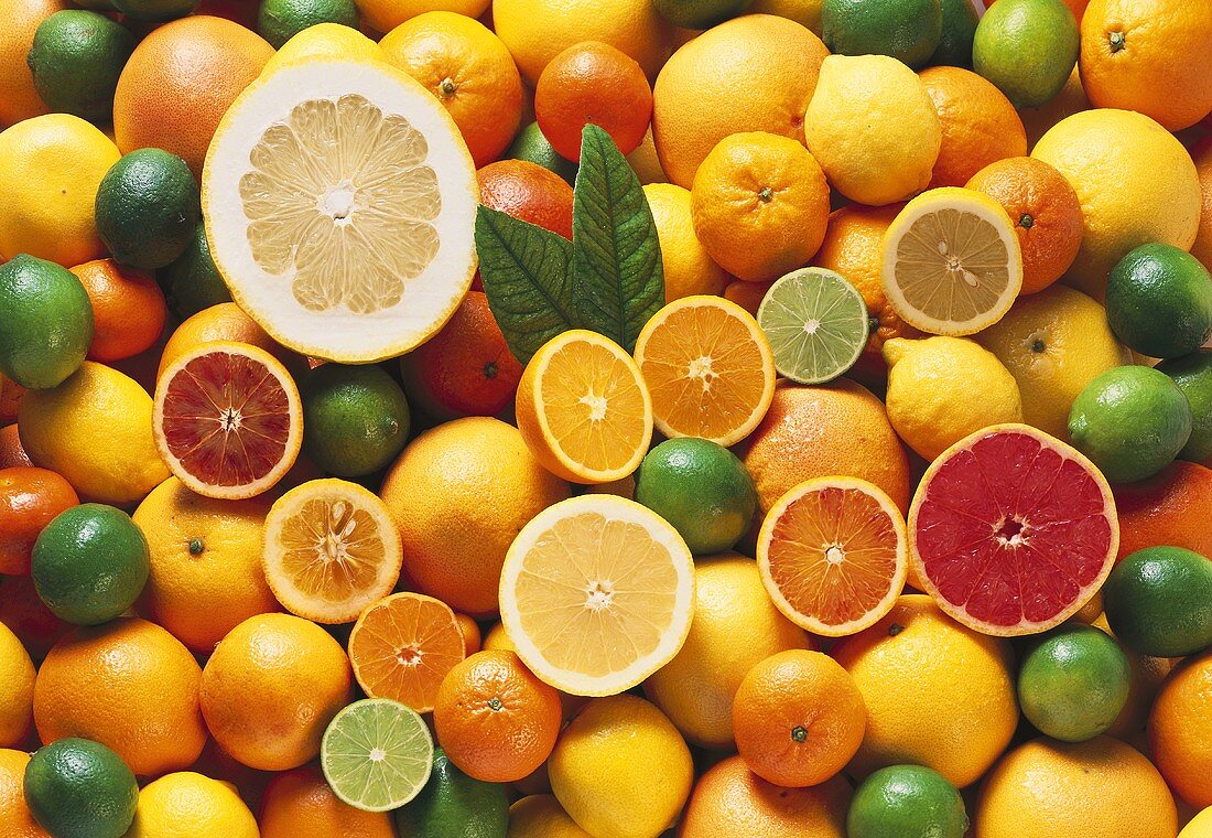 Lots of citrus fruits (covering the surface)