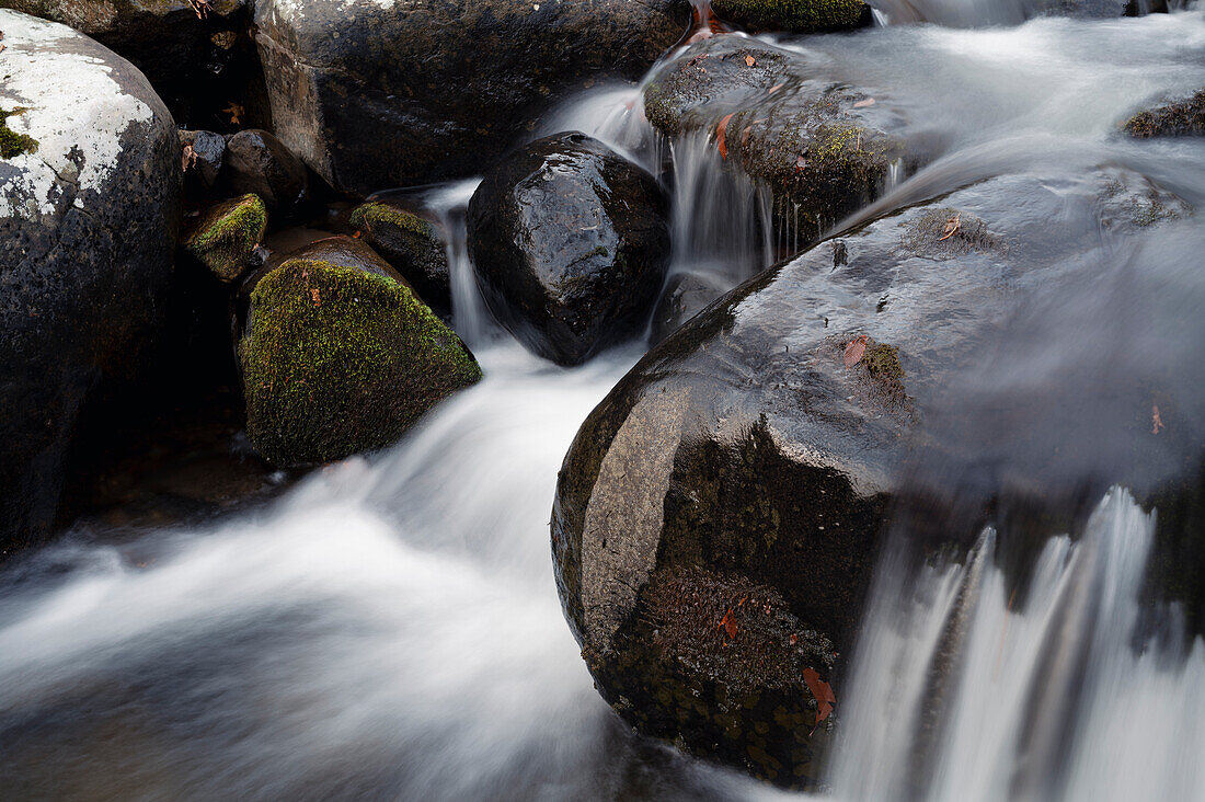 Roaring Creek Wasserfälle, Appalachian Trail, Blue Ridge Mountains, North Carolina, Vereinigte Staaten von Amerika, Nordamerika