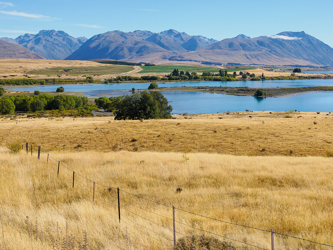 Grasbewachsenes Weideland und braune Hügel um den Lake Tekapo, Region Canterbury, Südinsel, Neuseeland, Pazifik