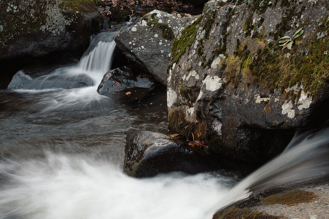 Roaring Creek Wasserfälle, Appalachian Trail, Blue Ridge Mountains, North Carolina, Vereinigte Staaten von Amerika, Nordamerika