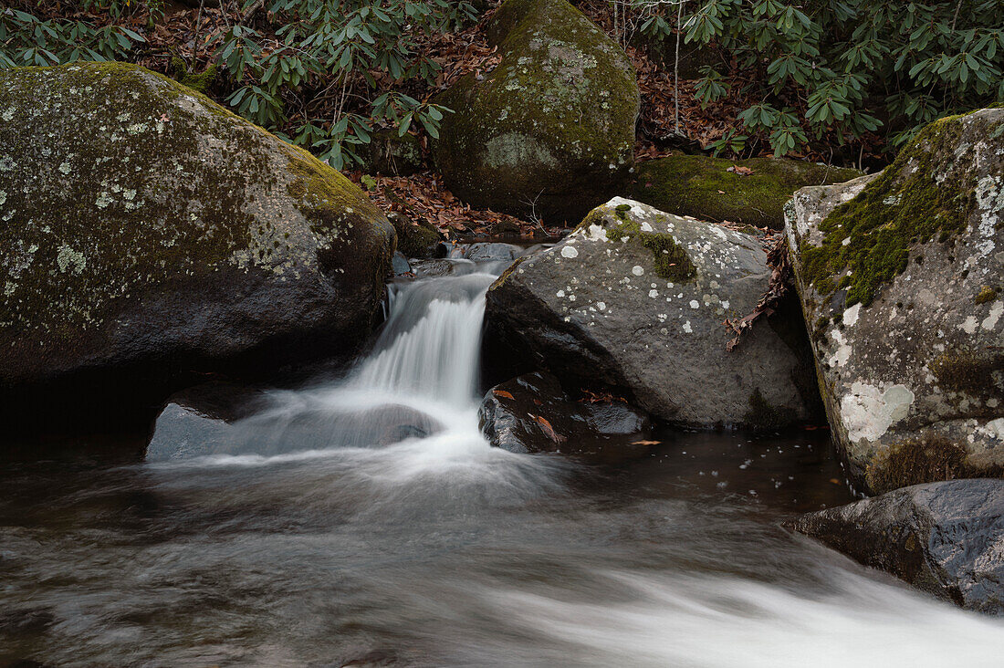 Roaring Creek Wasserfälle, Appalachian Trail, Blue Ridge Mountains, North Carolina, Vereinigte Staaten von Amerika, Nordamerika