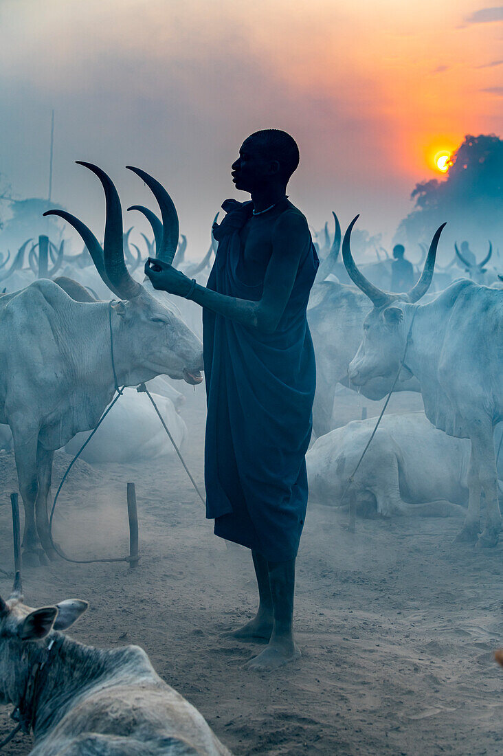 Gegenlichtaufnahme einer Frau in einem Mundari-Viehlager, Mundari-Stamm, Südsudan, Afrika