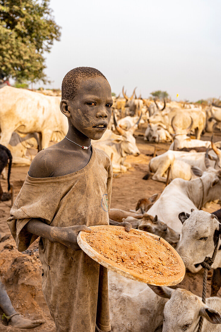 Junge mit Kuhdung zum Reinigen der Kühe, Mundari-Stamm, Südsudan, Afrika